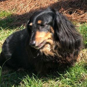 Meet your Posher, William